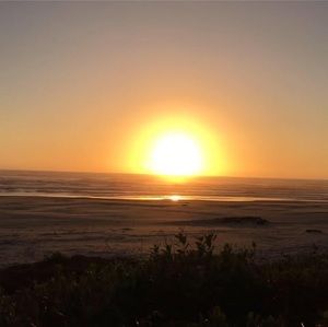 Meet your Posher, Jeannie